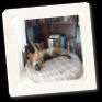 CC DSC00257.jpg
